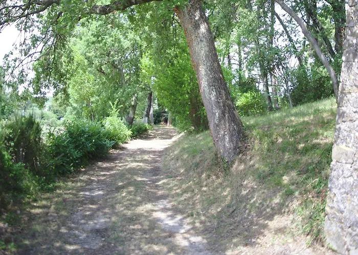 Lovely Holiday Home In Montefiridolfi With Hill View