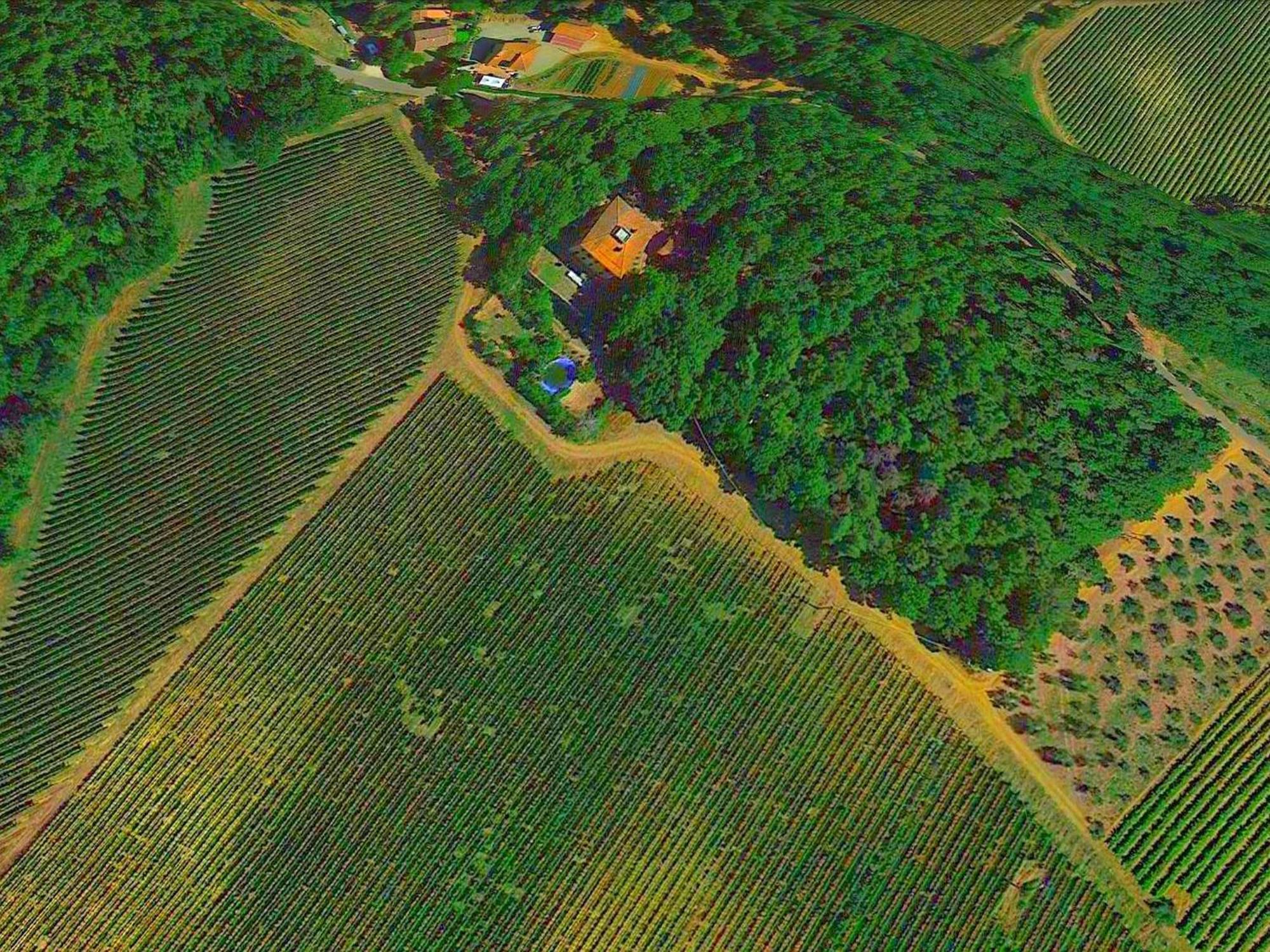 Lovely In With Hill View