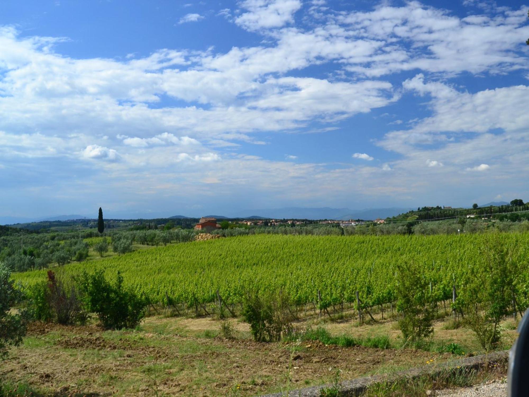 Lovely In With Hill View Holiday home Montefiridolfi