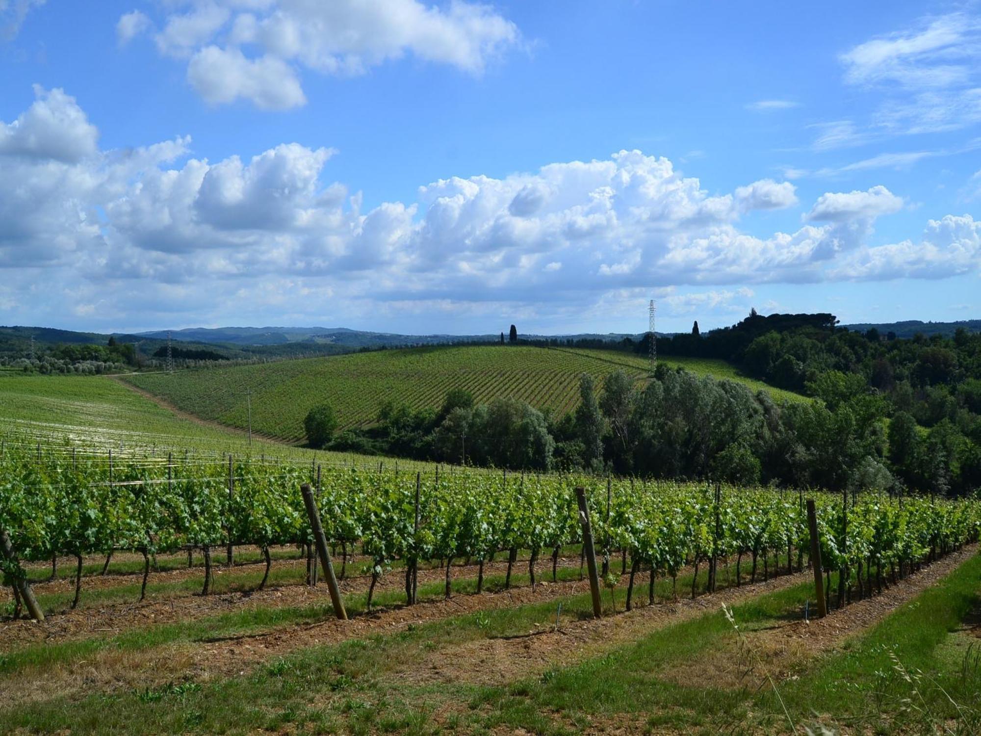 Holiday home Lovely In With Hill View Montefiridolfi
